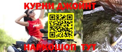 гашик Заводоуковск