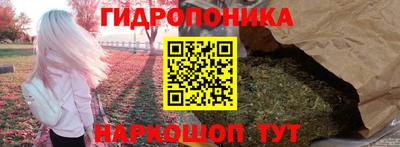 гашик Заводоуковск