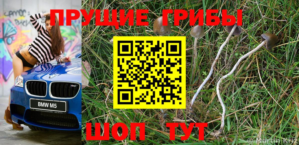 Озёры  Галлюциногенные грибы Magic Shrooms  Вход с VPN 